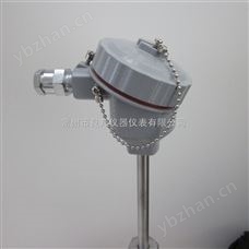 本安隔爆型鎧裝熱電阻廠家