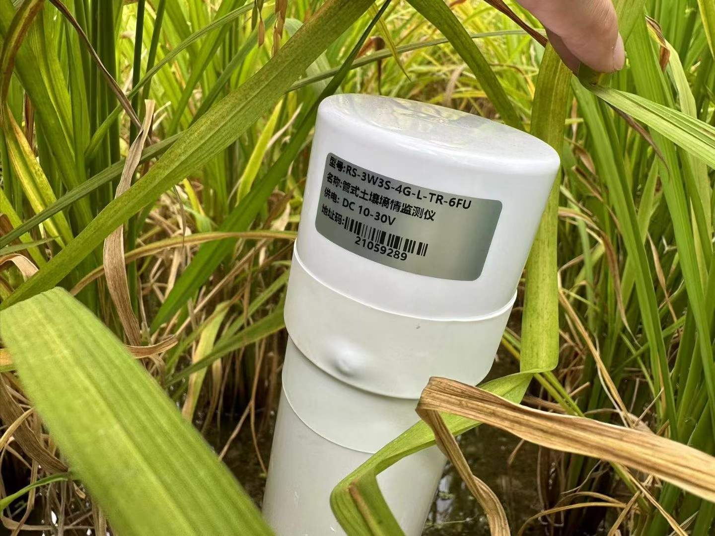 管式土壤检测仪