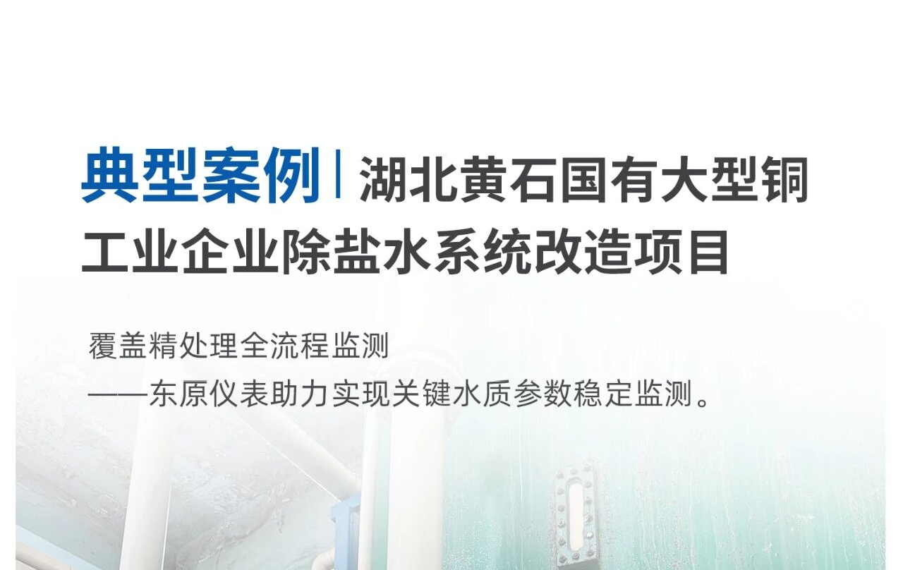 典型案例|湖北黄石国有大型铜工业企业除盐水系统改造项目