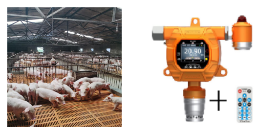 应用逸云天气体检测仪监测方案，让畜牧养殖有害气体无所遁形