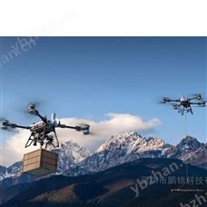 DJI FlyCart 200大疆FC200運載無人機7分鐘快充/雙模式吊運