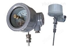 WSSX-473熱套式溫度計
