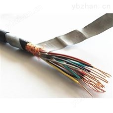 計算機電纜DJYVPR