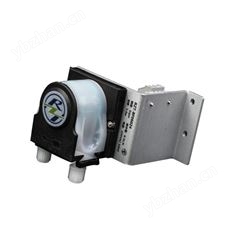 蠕動泵RZT-BF06024