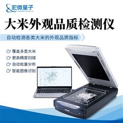 HW-DM大米外观品质检测仪