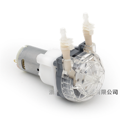 LFP202/DB直流有刷蠕動泵