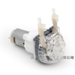 LFP202/DB直流有刷蠕動泵