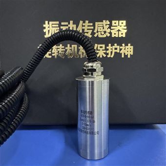 HD-ST-3一体化振动变送器HND-B60-B25