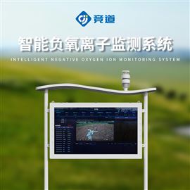 JD-FZ5空气负氧离子浓度监测站点