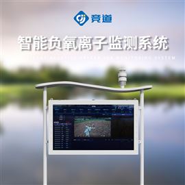 JD-FZ5负氧离子在线检测站哪家好