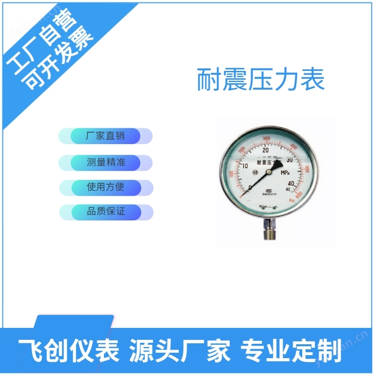 FC-Y-B耐震压力表