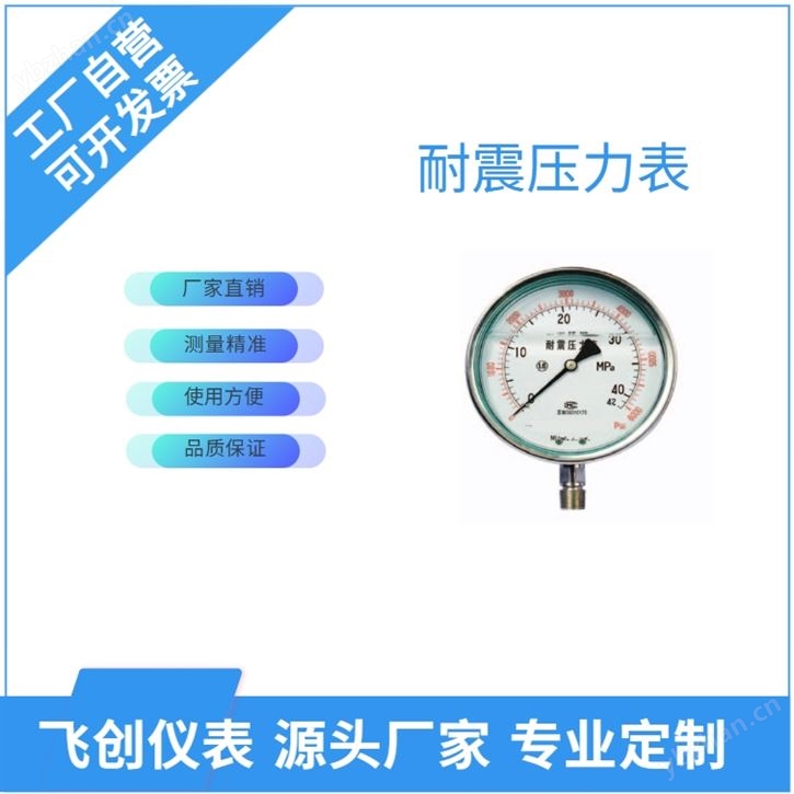 FC-Y-B耐震压力表