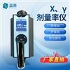 X、γ剂量率仪