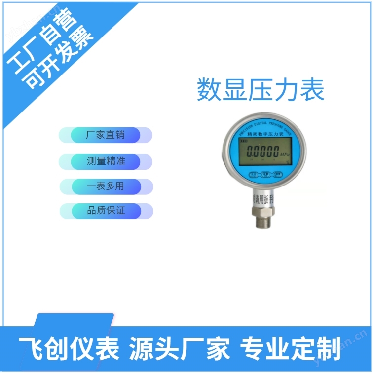 FC-Y-100B防爆数字显示压力表