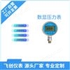 FC-Y-100B防爆数字显示压力表