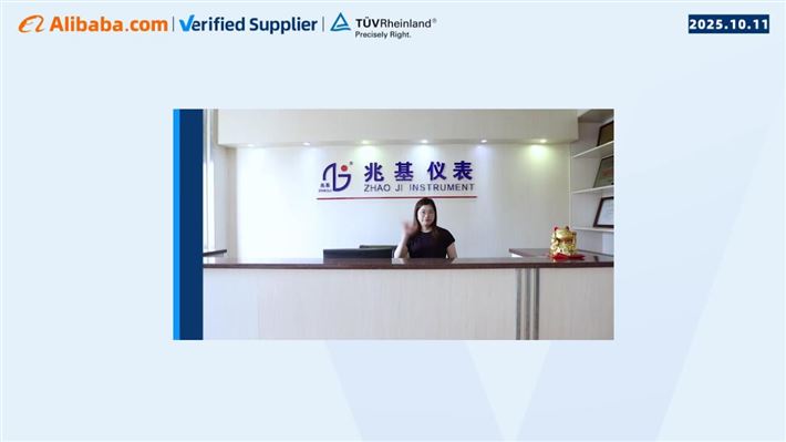 广州市兆基仪表仪器制造有限公司-阿里巴巴金品诚企认证