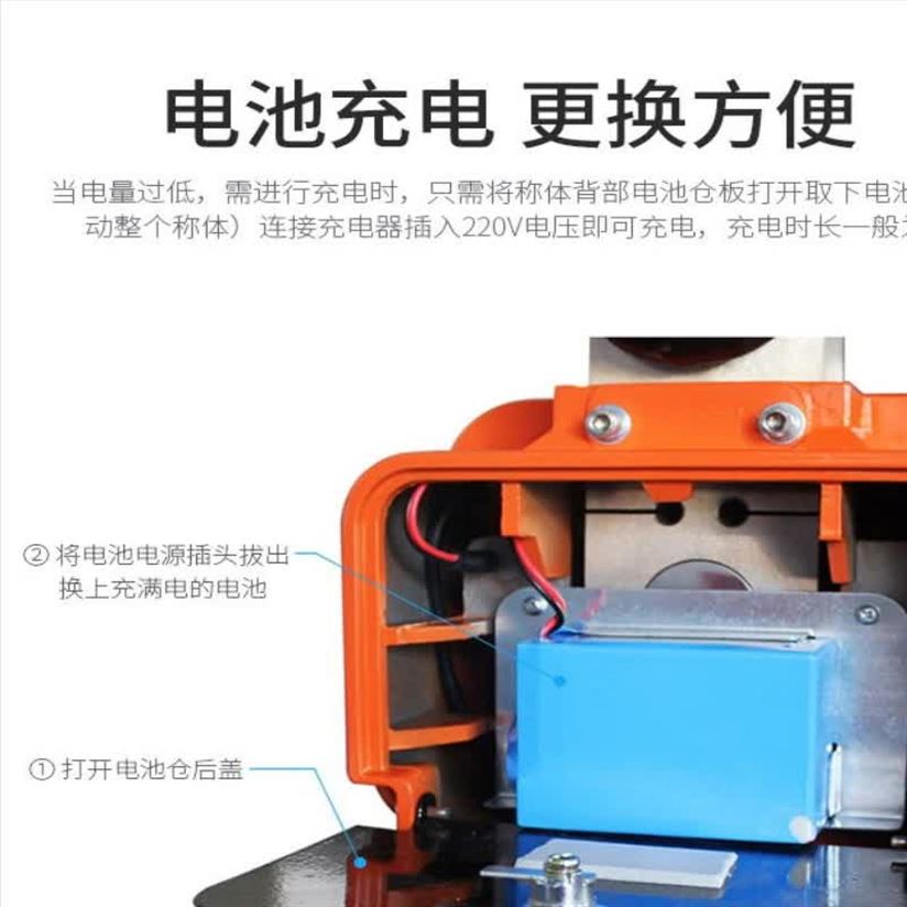 百鷹OCS電子吊秤2噸5T直視行吊10t20t天車吊磅