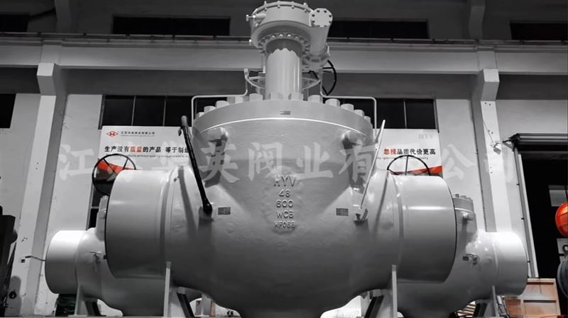 華英部分閥門實(shí)拍