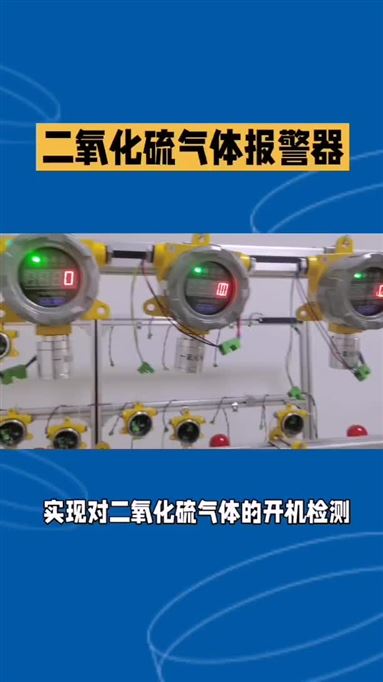 二氧化硫气体泄露报警器