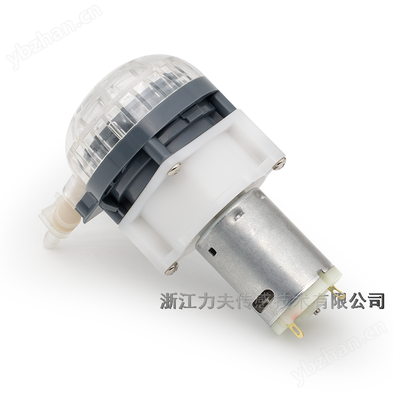 直流有刷蠕動泵