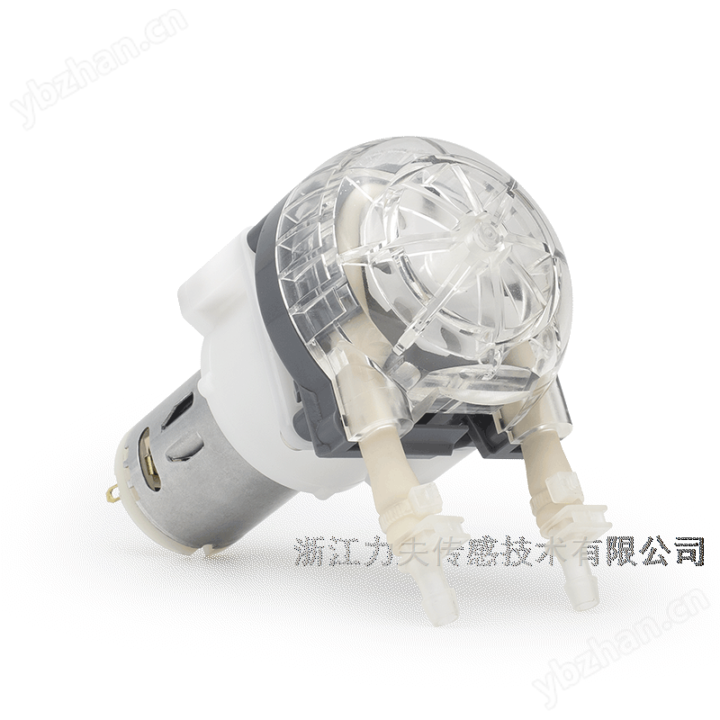 直流有刷蠕動泵