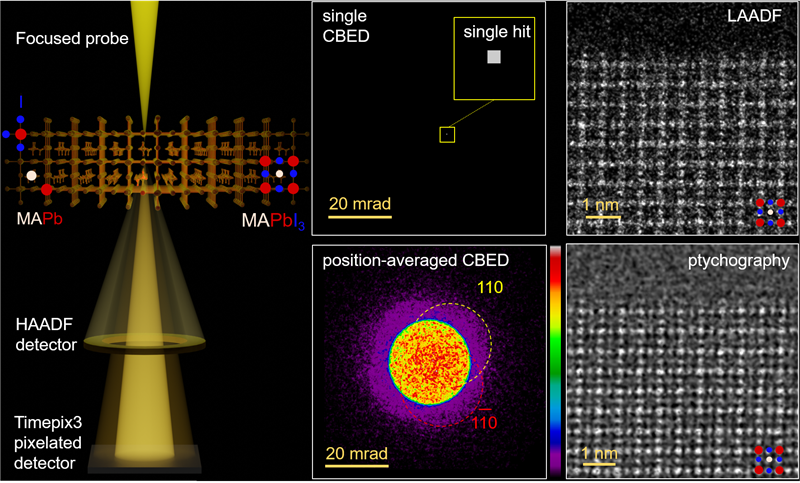 上海科技大学物质学院于奕课题组辐照敏感材料电子显微成像研究成果发表于《自然》