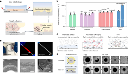 南科大于严淏团队在柔性电子封装领域取得研究进展