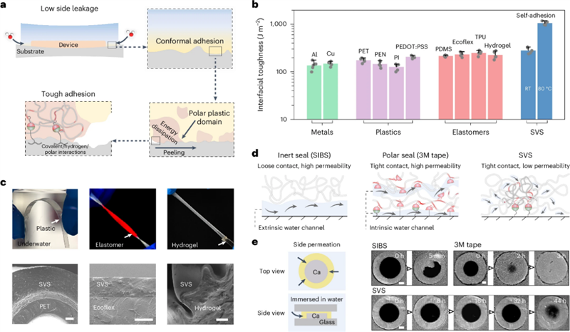 南科大于严淏团队在柔性电子封装领域取得研究进展
