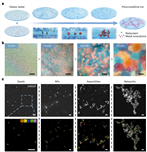 北理工团队在低温冰介导制备高熵合金及控冰领域取得新进展