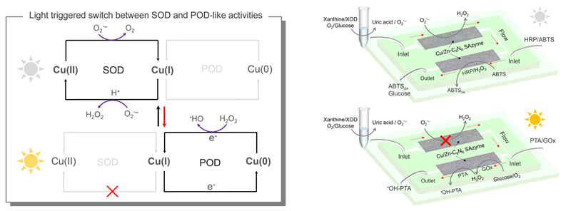 东南大学张袁健团队与合作者在智能传感研究中取得重要进展