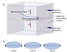 力学所在光学透镜的流体成形与控制领域取得进展