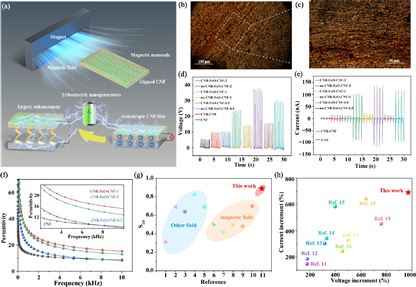 寧波材料所在低磁場誘導納米纖維素高度取向制備高性能摩擦納米電機研究方面取得進展