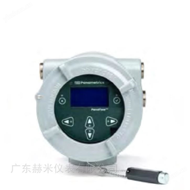 美國Panametrics XMT1000液體超聲波流量計(jì)