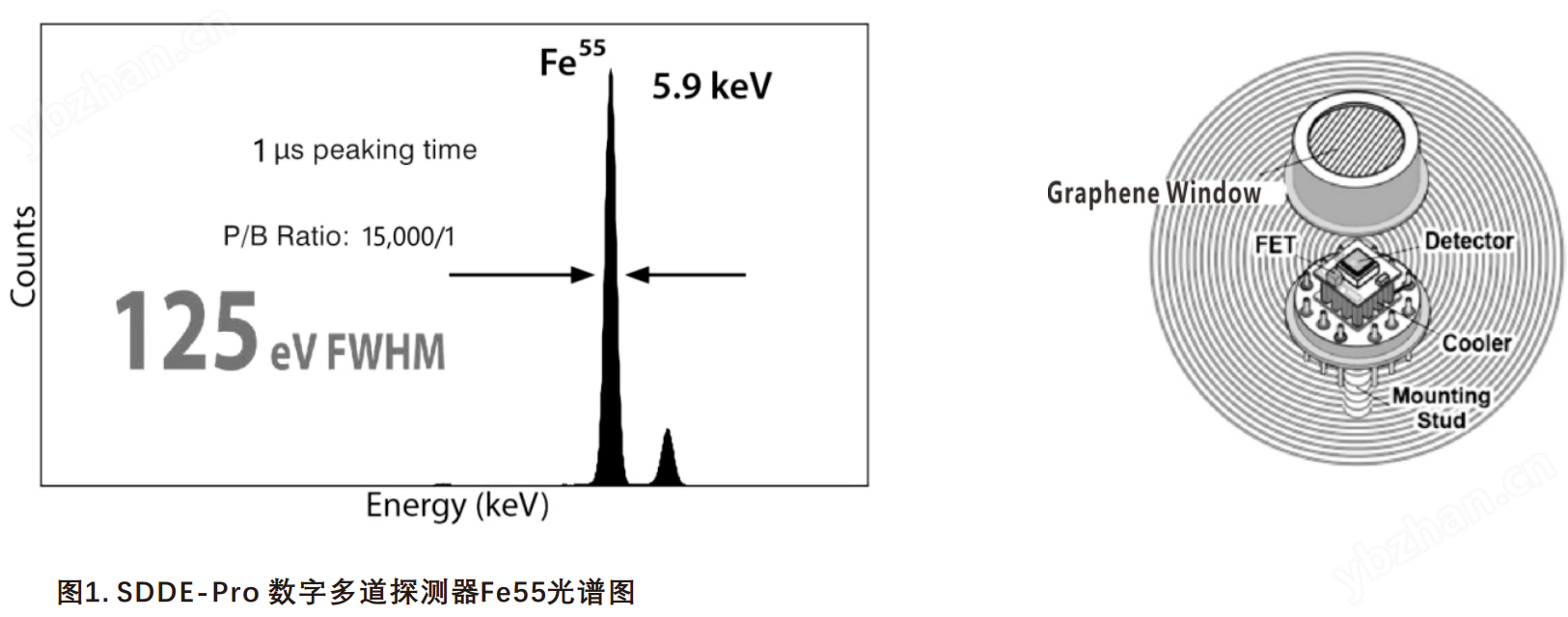 蘇州兀象科學(xué)儀器 XRF探測器 SDD探測器