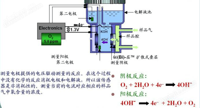 电化学氧含量分析仪（加氢釜氧化釜专用）