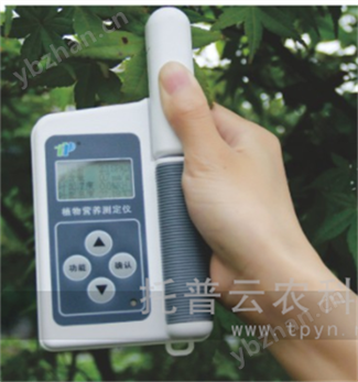 葉綠素儀