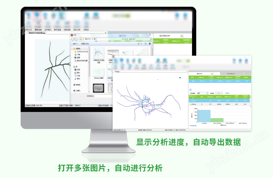 植物根系分析儀