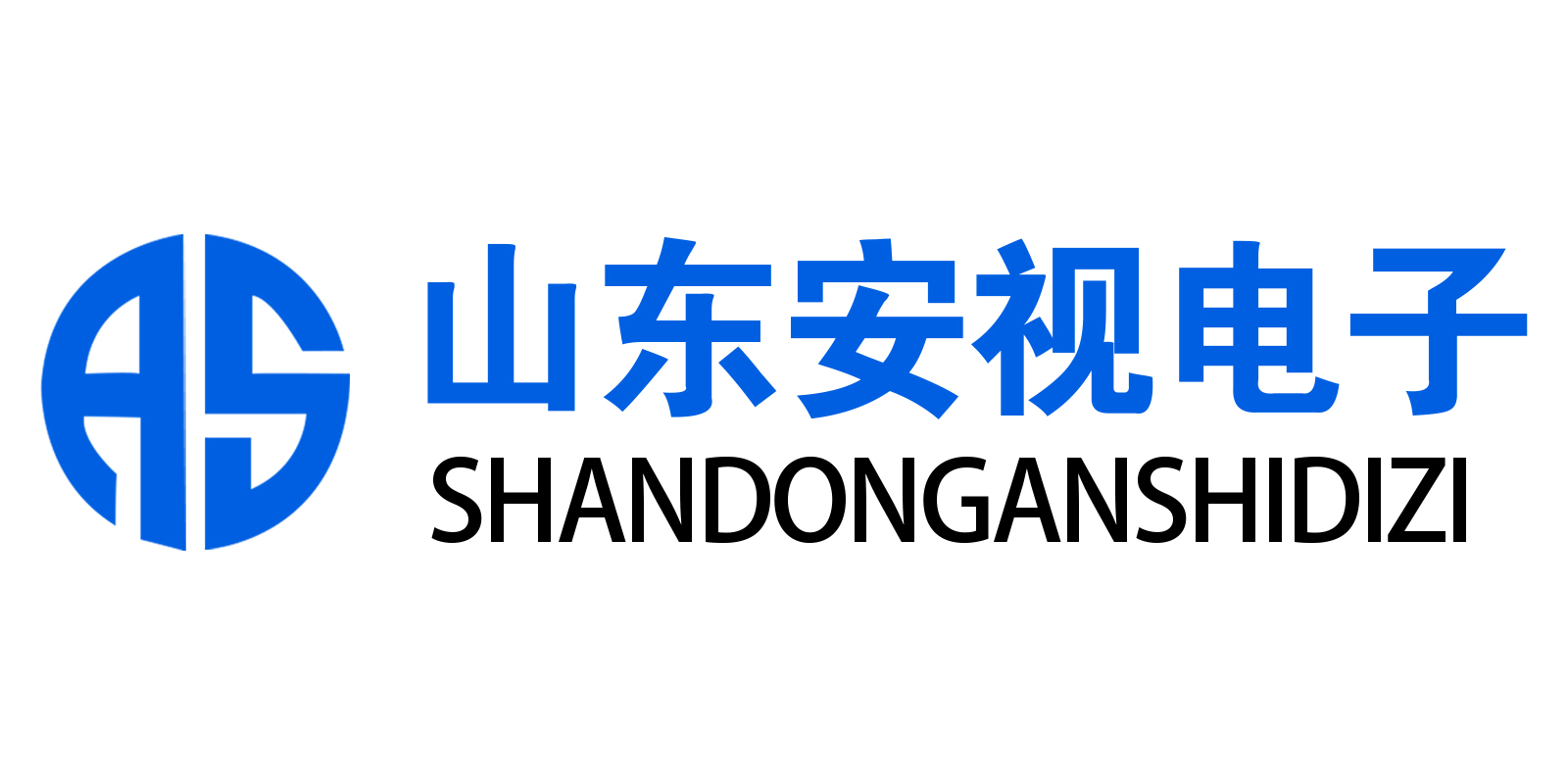 山东安视电子科技有限公司