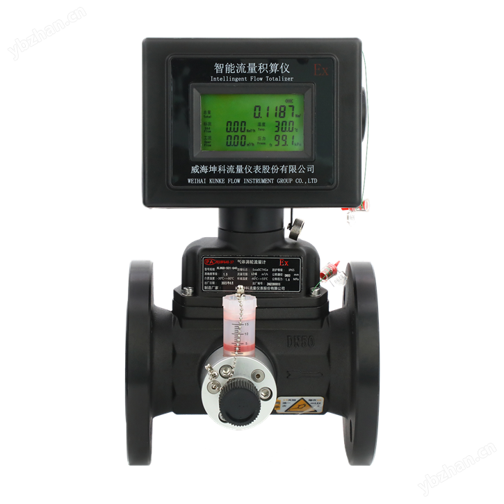 天然氣貿(mào)易計(jì)量渦輪流量計(jì) 氣體流量計(jì)