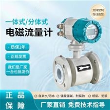 润达  电磁流量计厂家 无线传输流量计