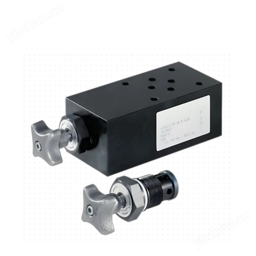 进口BIERI高压小流量微型泵AKP30方向泄压阀