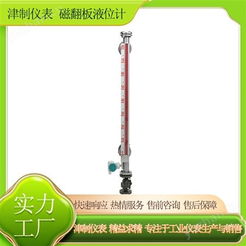 磁翻板液位計 就地顯示 頂部安裝 石油化工