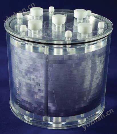 Hoffman 3D 脑模体