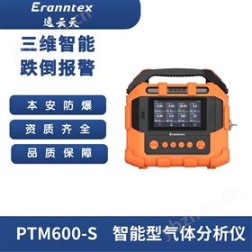 手提式多功能氣體分析儀PTM600-S