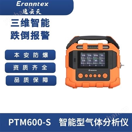 手提式多功能氣體分析儀PTM600-S