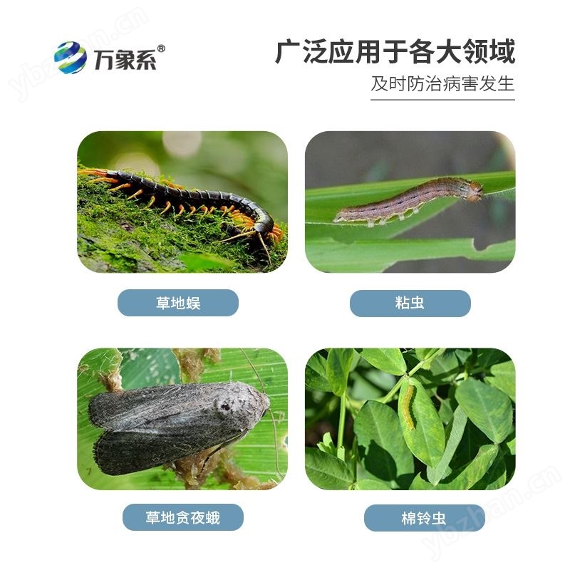 草地貪夜蛾高空測報燈