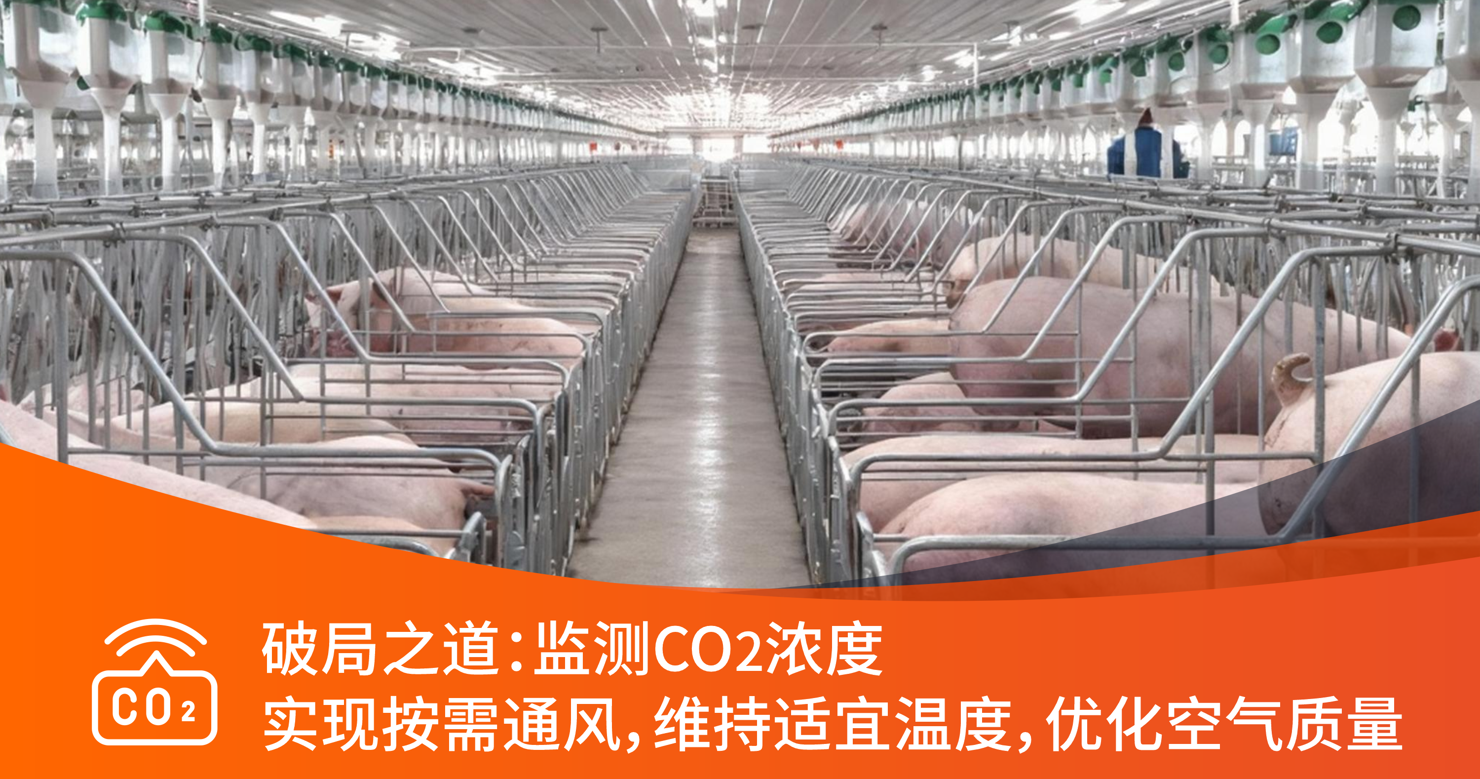547a8f43a06bb4b149708533291e1d56.png 寒冬已至,您猪舍内的CO₂变送器还好吗?