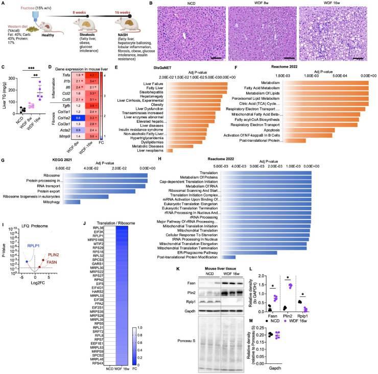 WPS图片(11).jpeg WPS图片(11).jpeg