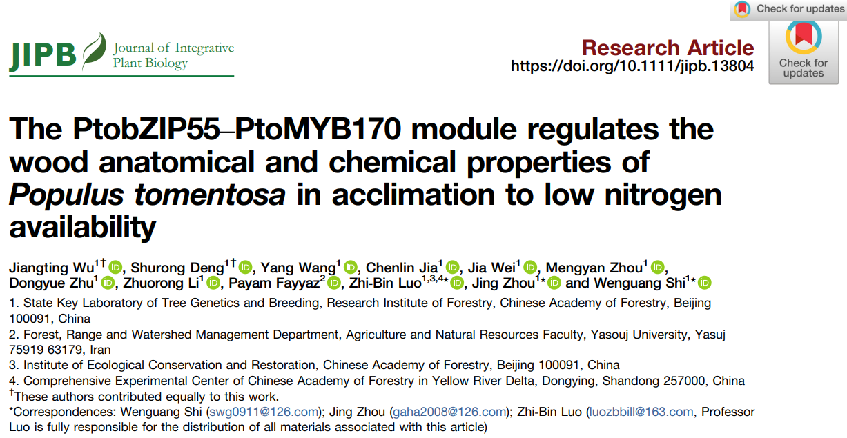 DAP-seq技術助力揭示低氮脅迫下毛白楊木材形成的分子調控機制