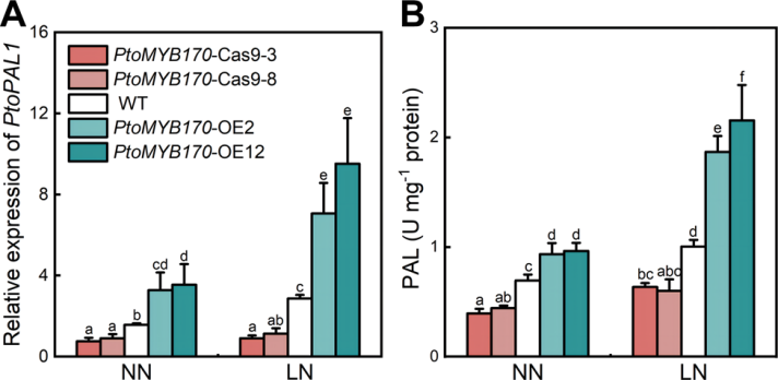 DAP-seq技術助力揭示低氮脅迫下毛白楊木材形成的分子調控機制